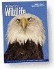 NATIONAL WILDLIFE - 1 YR